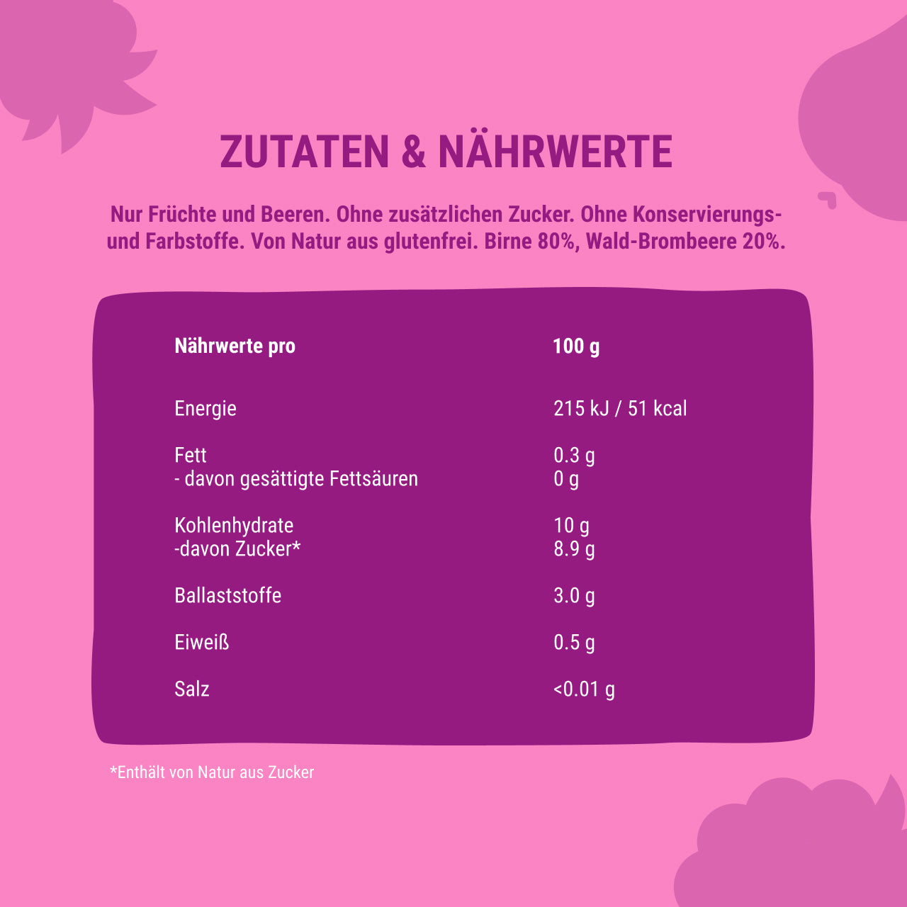 Quetschie Smoothie Birne Brombeere 10 Packungen (je 120g)