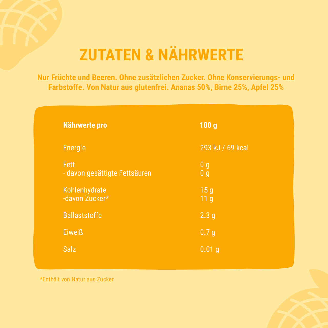 Quetschie Smoothie Ananas Birne Apfel 10 Packungen (je 120g)